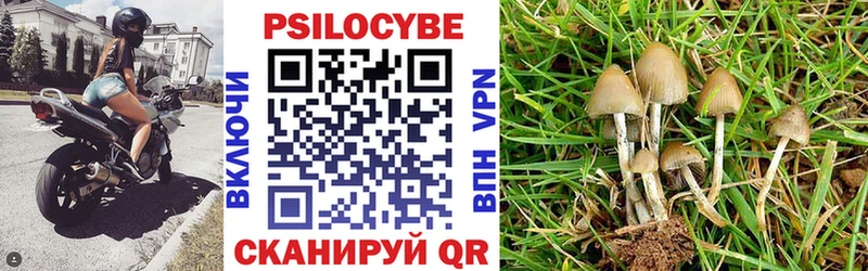 Псилоцибиновые грибы GOLDEN TEACHER  где купить   Магадан 