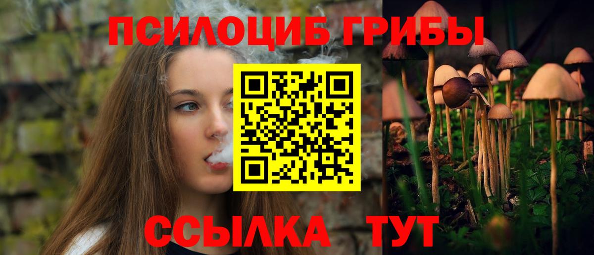 Магадан  Псилоцибиновые грибы Magic Shrooms  Вход с VPN 