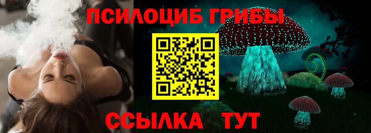 Галлюциногенные грибы Psilocybe Магадан