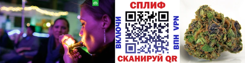 Бошки Шишки планчик  МЕГА   Магадан 
